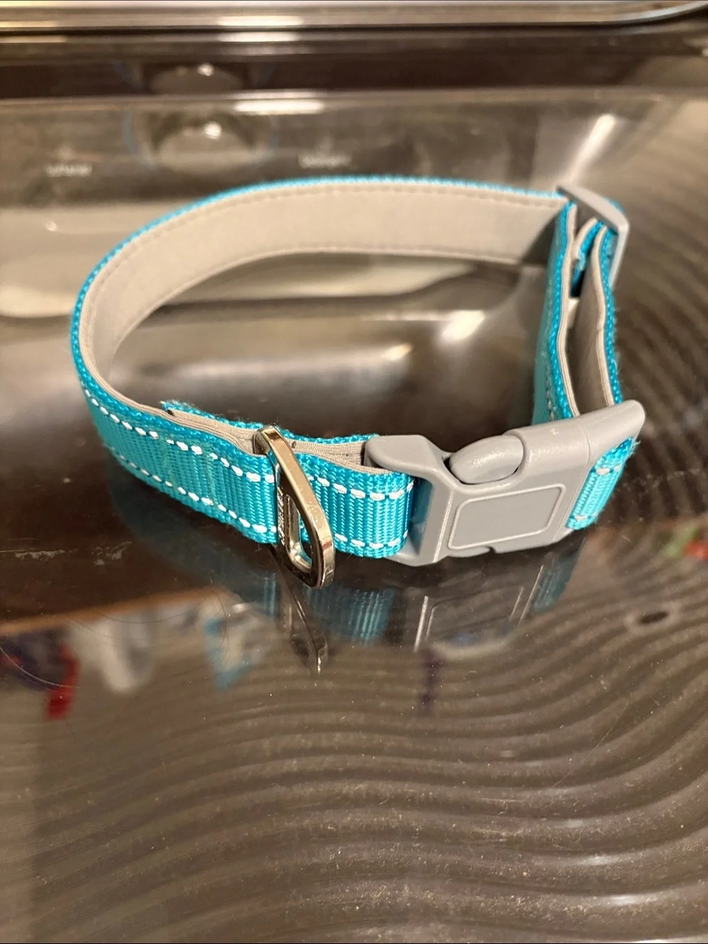 Teal Dog Collar  Clip Sz M